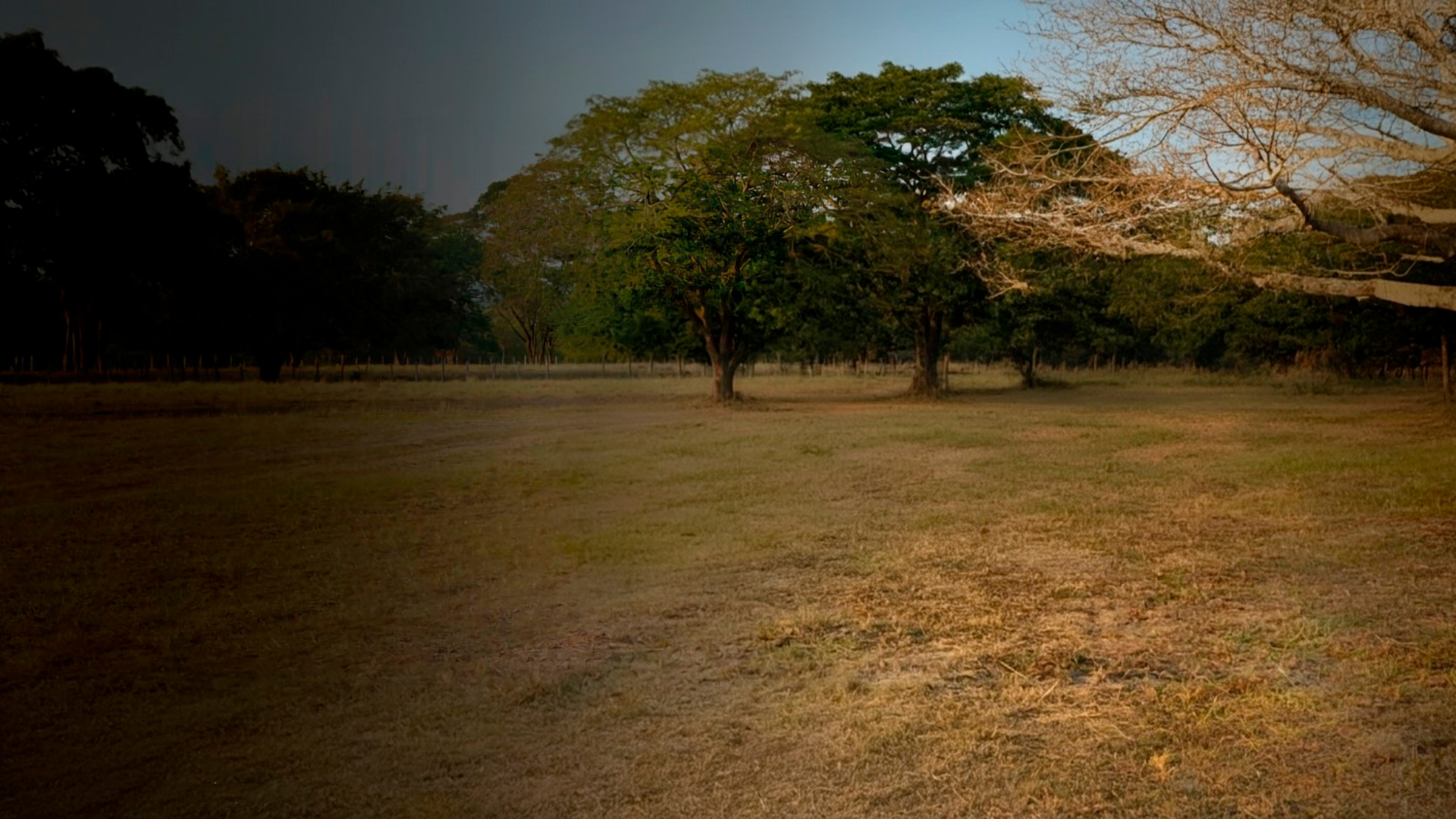 4afd635e-21d0-478b-af1c-4b3404f8892f(1)