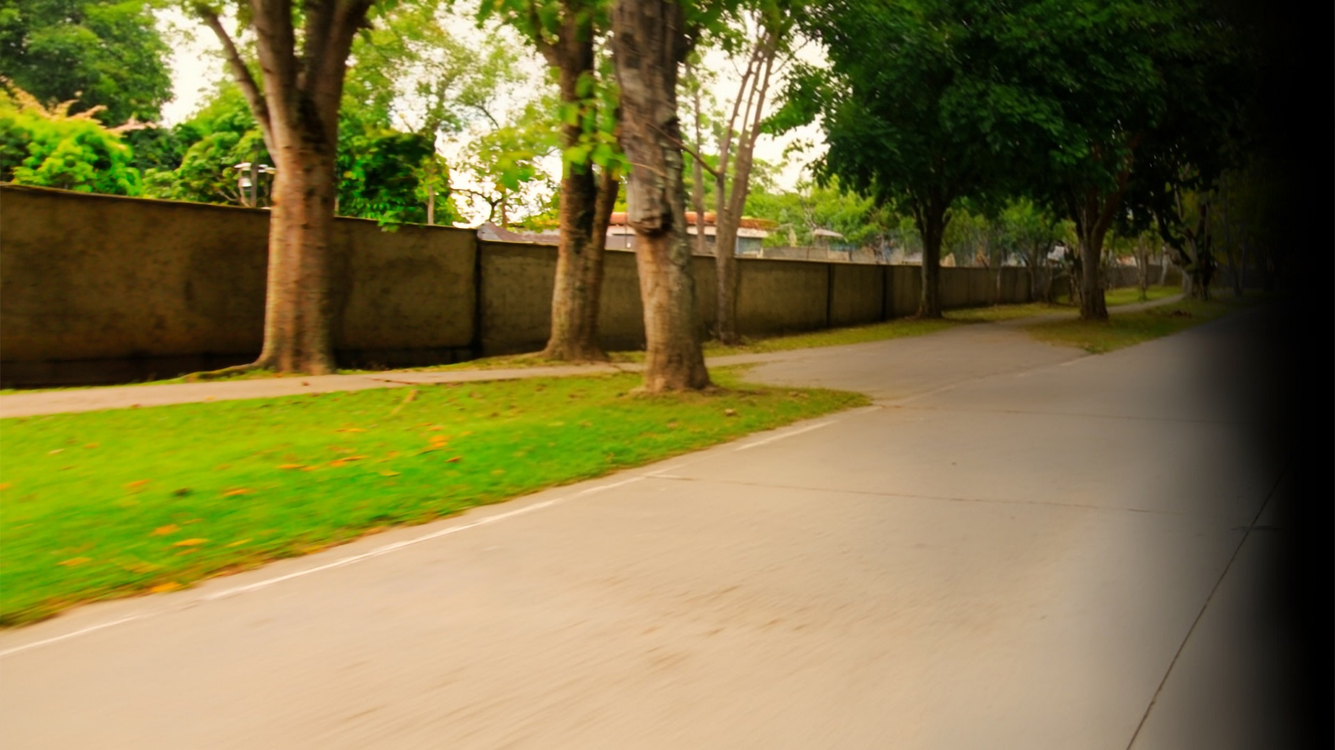 wmremove-transformed (1)